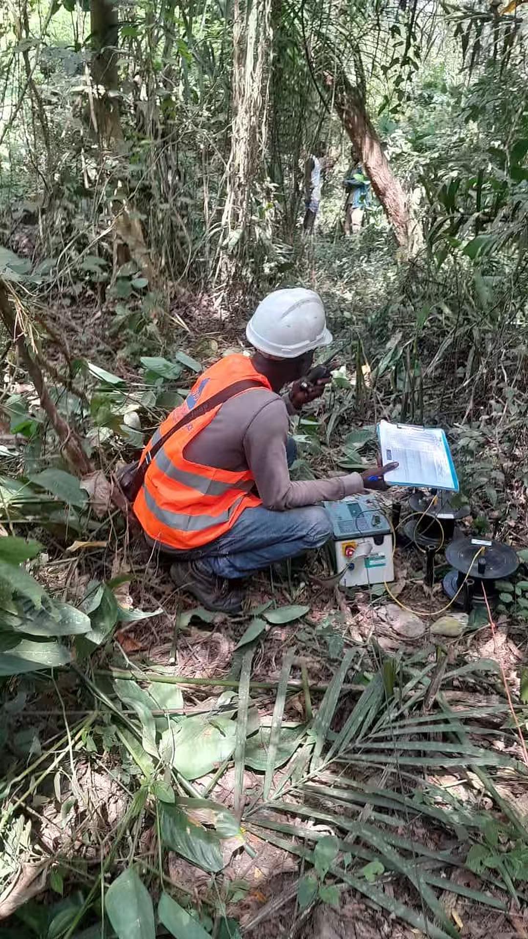 Geophysical field-data acquisition along a wooded survey line